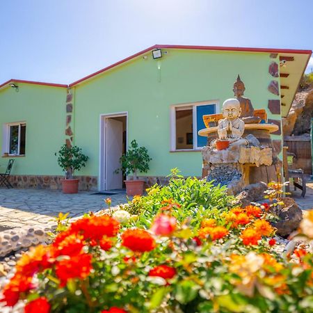 Casa Rural Buda Terra Santa Cruz de Tenerife Exteriör bild