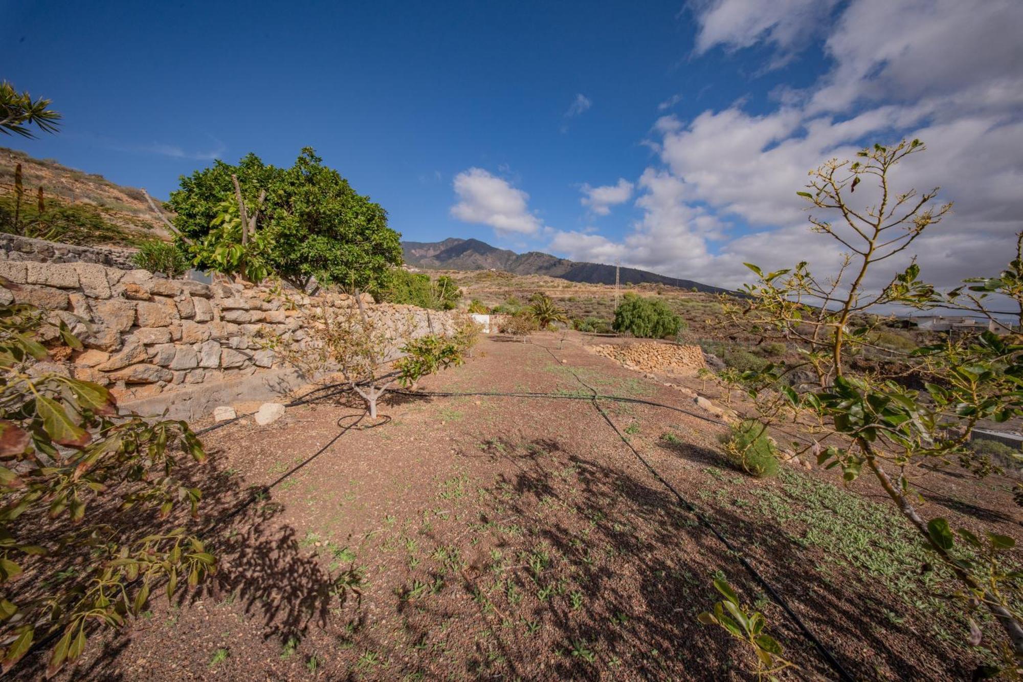 Casa Rural Buda Terra Santa Cruz de Tenerife Exteriör bild
