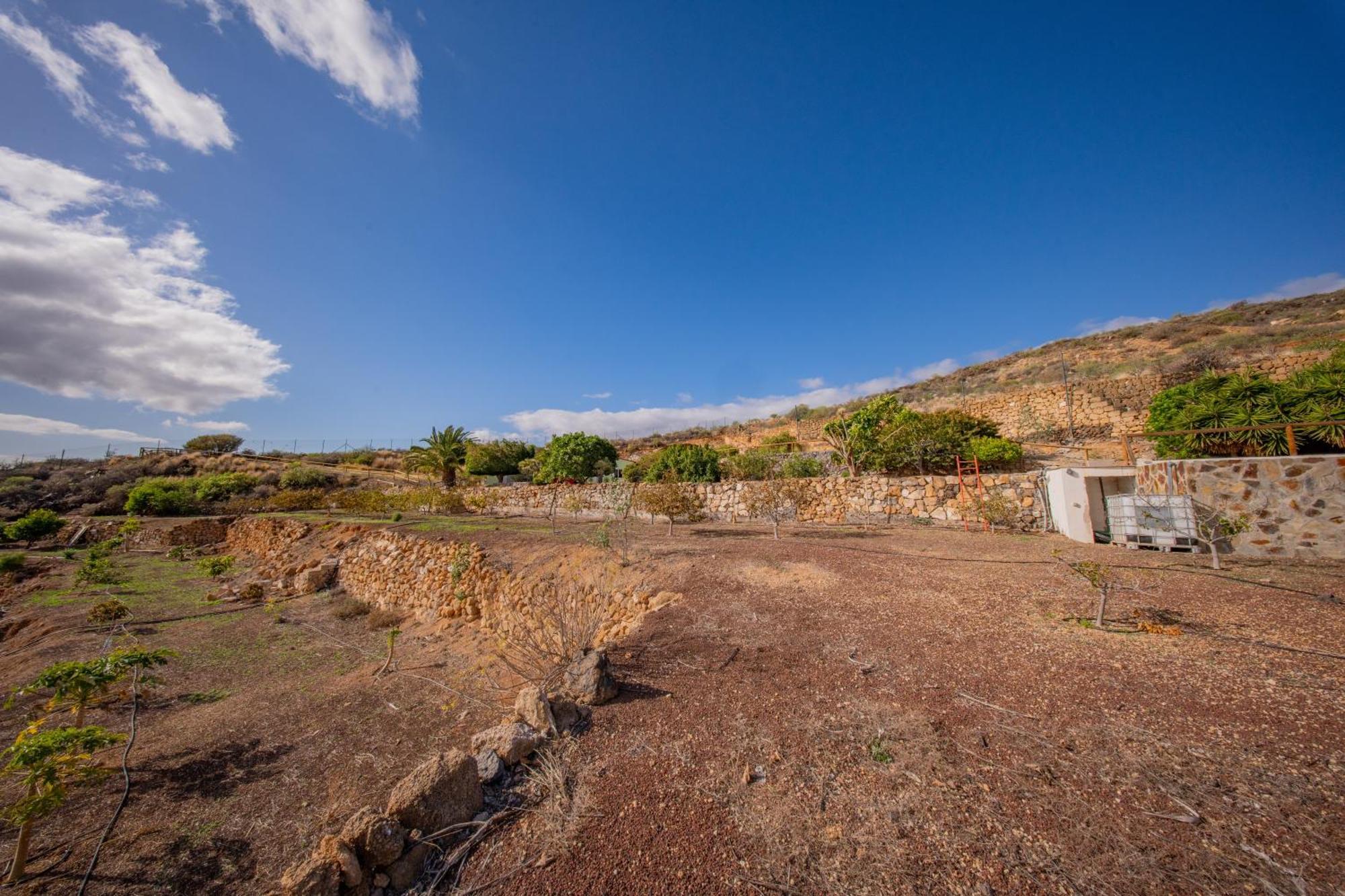 Casa Rural Buda Terra Santa Cruz de Tenerife Exteriör bild